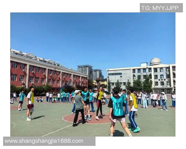 我是个篮球我在球场上飞翔追逐梦想的旅程与热血青春的故事