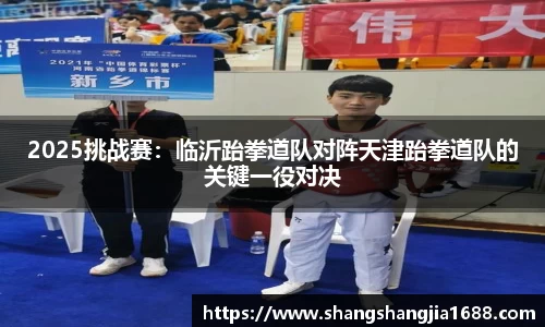 2025挑战赛：临沂跆拳道队对阵天津跆拳道队的关键一役对决