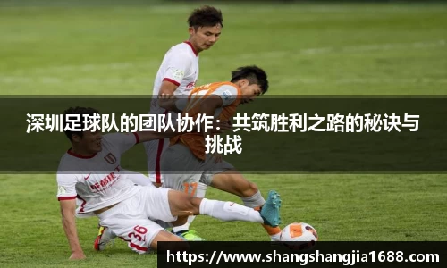 深圳足球队的团队协作：共筑胜利之路的秘诀与挑战